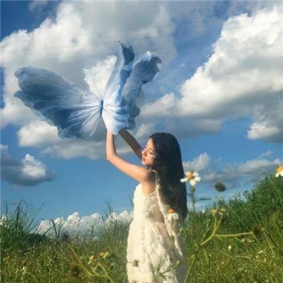 蜂妹与狗狗猫